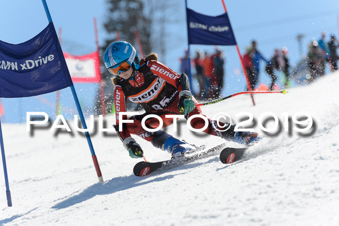 Ziener Cup WF,Finale, Quali + PSL, 30.03.2019