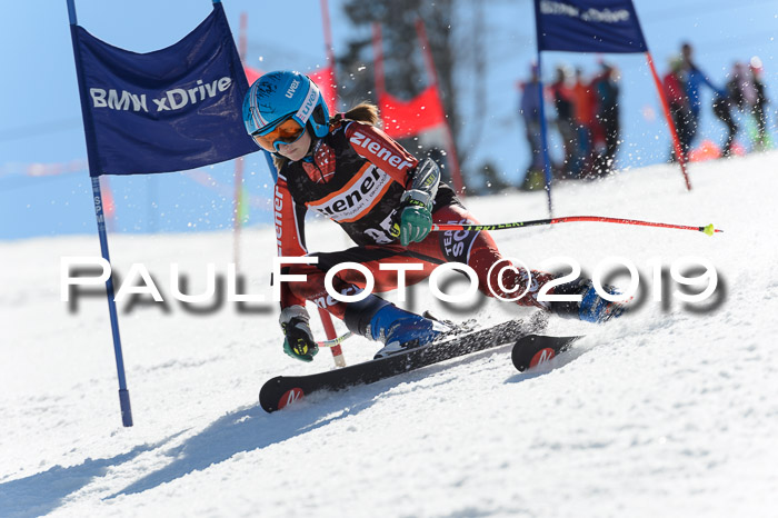 Ziener Cup WF,Finale, Quali + PSL, 30.03.2019