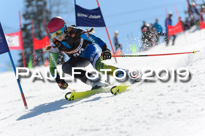 Ziener Cup WF,Finale, Quali + PSL, 30.03.2019