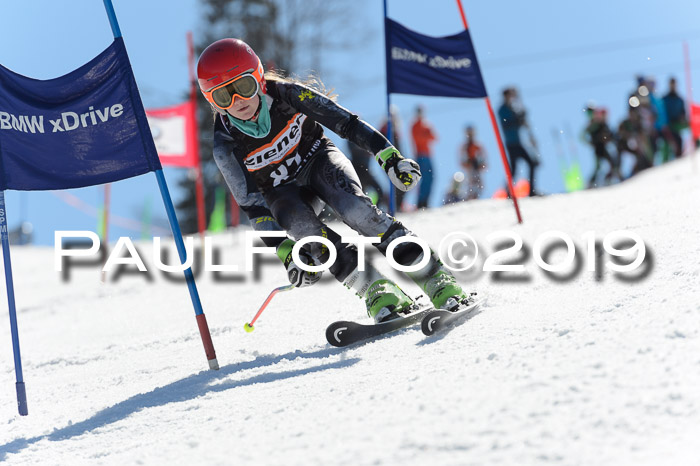 Ziener Cup WF,Finale, Quali + PSL, 30.03.2019