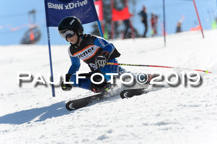 Ziener Cup WF,Finale, Quali + PSL, 30.03.2019