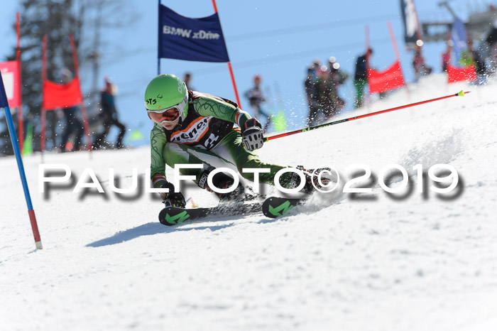 Ziener Cup WF,Finale, Quali + PSL, 30.03.2019