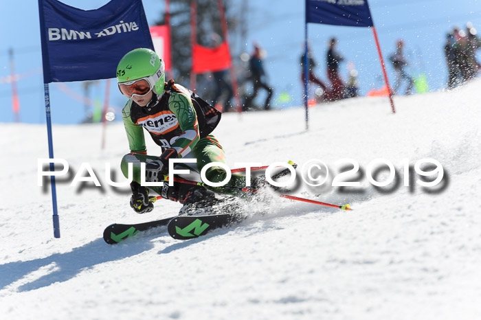 Ziener Cup WF,Finale, Quali + PSL, 30.03.2019