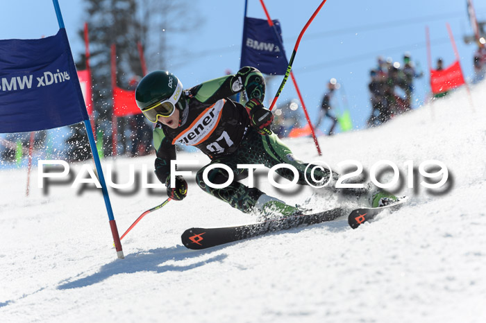 Ziener Cup WF,Finale, Quali + PSL, 30.03.2019