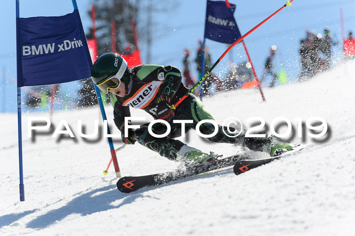 Ziener Cup WF,Finale, Quali + PSL, 30.03.2019