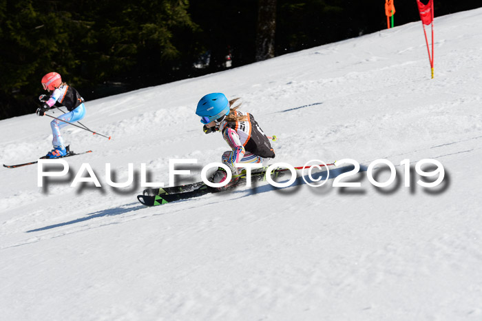 Ziener Cup WF,Finale, Quali + PSL, 30.03.2019