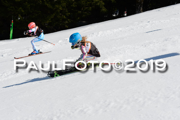 Ziener Cup WF,Finale, Quali + PSL, 30.03.2019
