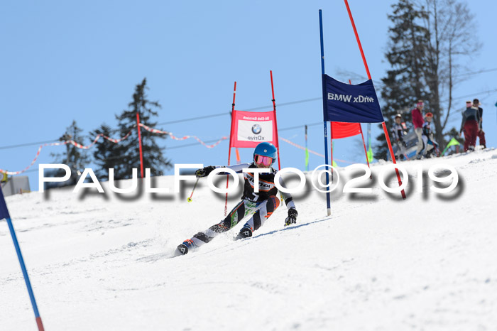 Ziener Cup WF,Finale, Quali + PSL, 30.03.2019