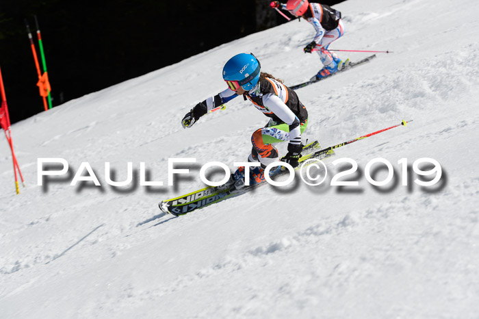 Ziener Cup WF,Finale, Quali + PSL, 30.03.2019