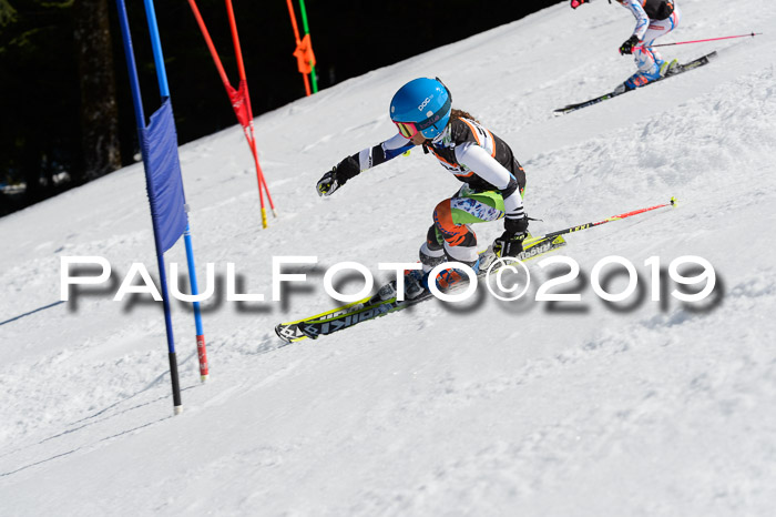 Ziener Cup WF,Finale, Quali + PSL, 30.03.2019