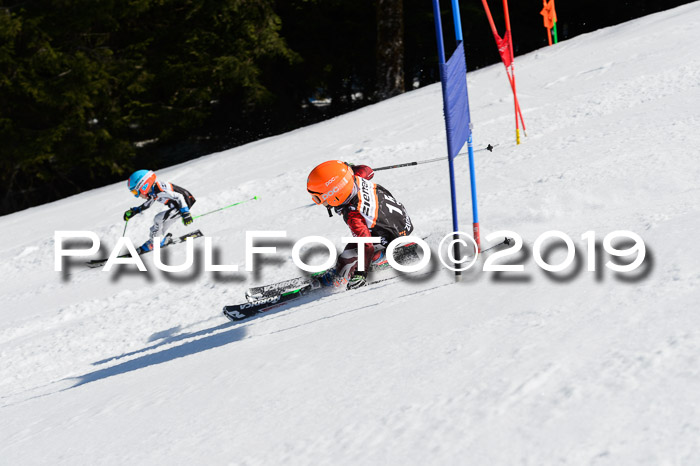 Ziener Cup WF,Finale, Quali + PSL, 30.03.2019
