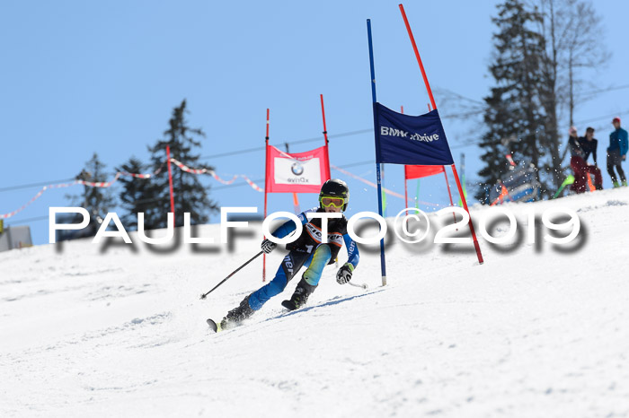 Ziener Cup WF,Finale, Quali + PSL, 30.03.2019