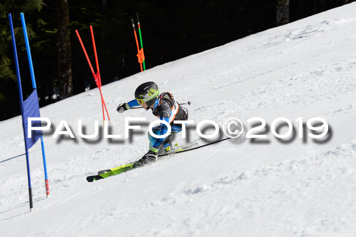 Ziener Cup WF,Finale, Quali + PSL, 30.03.2019