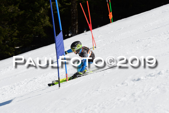 Ziener Cup WF,Finale, Quali + PSL, 30.03.2019