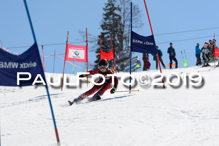 Ziener Cup WF,Finale, Quali + PSL, 30.03.2019