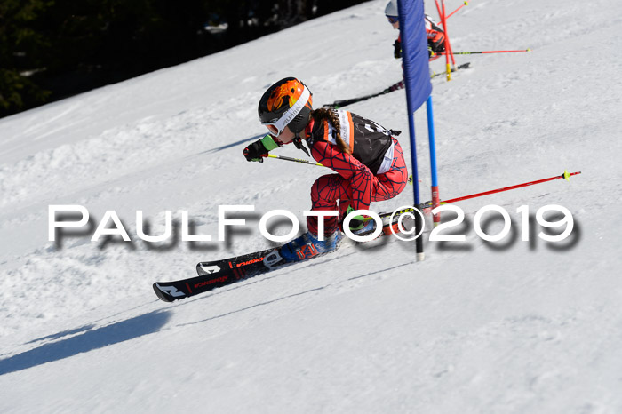 Ziener Cup WF,Finale, Quali + PSL, 30.03.2019