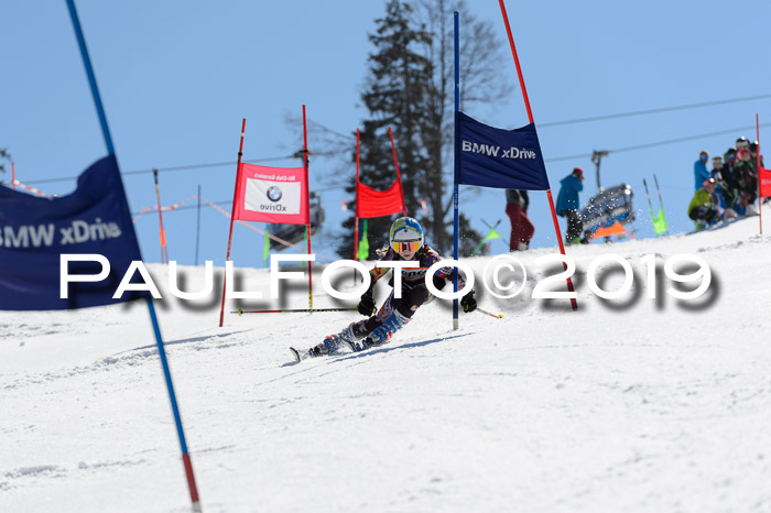 Ziener Cup WF,Finale, Quali + PSL, 30.03.2019