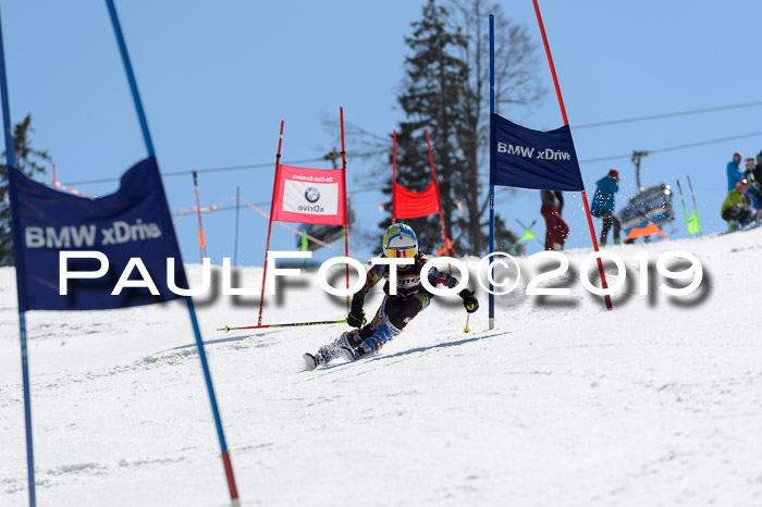Ziener Cup WF,Finale, Quali + PSL, 30.03.2019