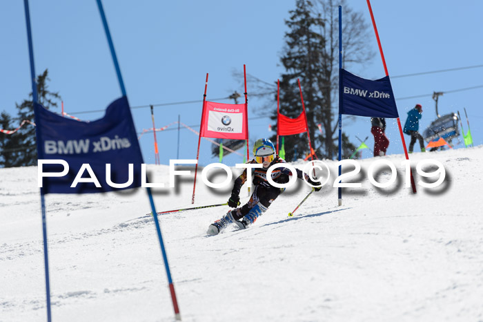 Ziener Cup WF,Finale, Quali + PSL, 30.03.2019