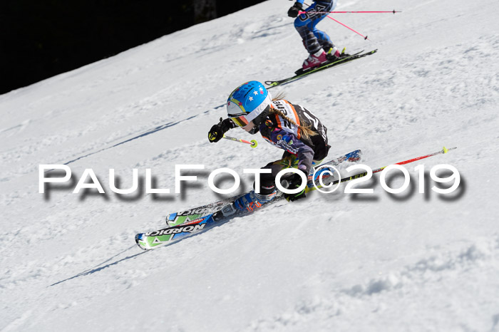 Ziener Cup WF,Finale, Quali + PSL, 30.03.2019