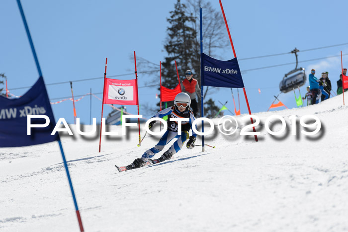 Ziener Cup WF,Finale, Quali + PSL, 30.03.2019