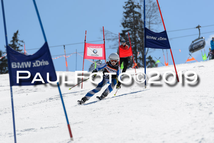 Ziener Cup WF,Finale, Quali + PSL, 30.03.2019