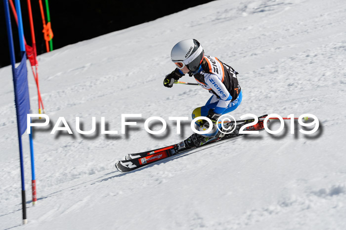 Ziener Cup WF,Finale, Quali + PSL, 30.03.2019