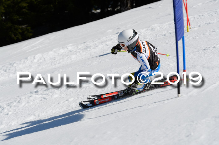 Ziener Cup WF,Finale, Quali + PSL, 30.03.2019