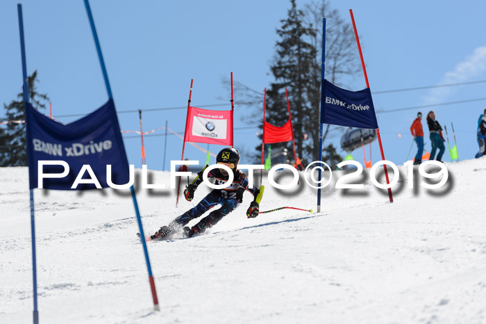 Ziener Cup WF,Finale, Quali + PSL, 30.03.2019
