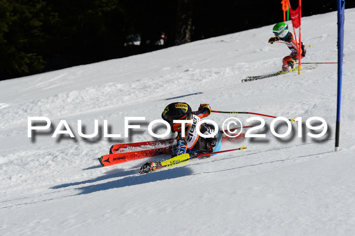Ziener Cup WF,Finale, Quali + PSL, 30.03.2019