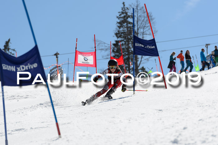 Ziener Cup WF,Finale, Quali + PSL, 30.03.2019