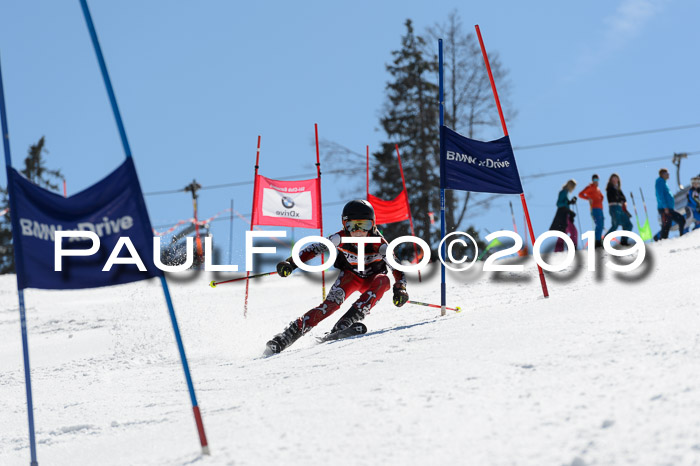 Ziener Cup WF,Finale, Quali + PSL, 30.03.2019