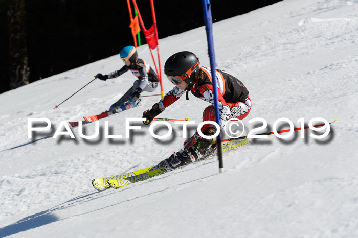 Ziener Cup WF,Finale, Quali + PSL, 30.03.2019