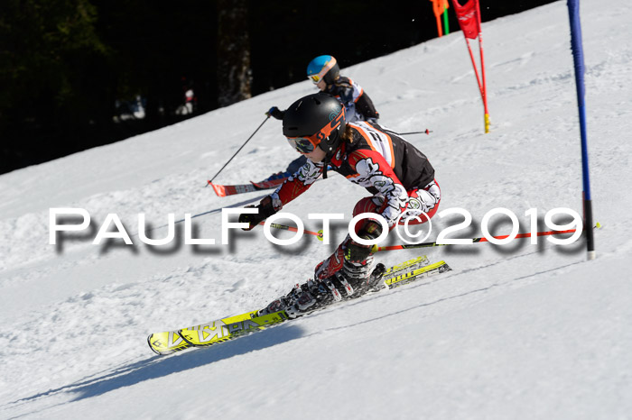 Ziener Cup WF,Finale, Quali + PSL, 30.03.2019