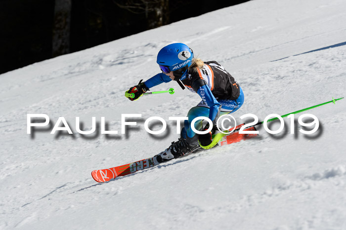 Ziener Cup WF,Finale, Quali + PSL, 30.03.2019