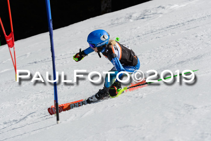 Ziener Cup WF,Finale, Quali + PSL, 30.03.2019