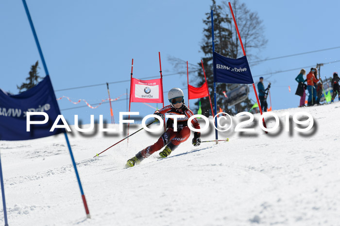 Ziener Cup WF,Finale, Quali + PSL, 30.03.2019