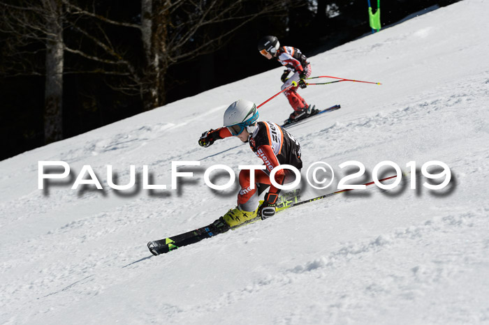 Ziener Cup WF,Finale, Quali + PSL, 30.03.2019