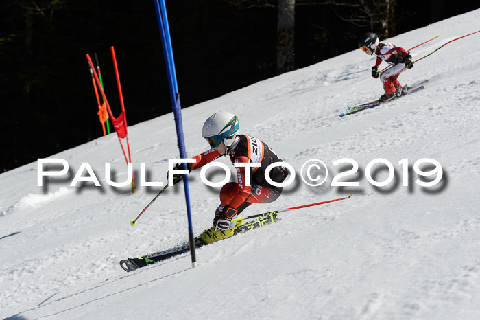 Ziener Cup WF,Finale, Quali + PSL, 30.03.2019