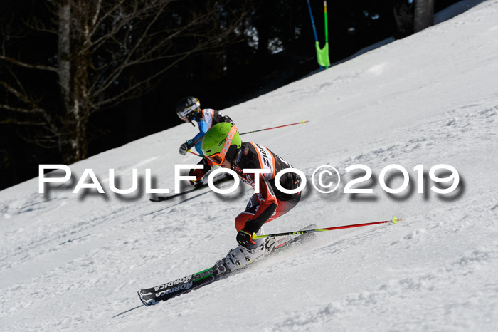 Ziener Cup WF,Finale, Quali + PSL, 30.03.2019