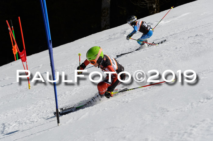 Ziener Cup WF,Finale, Quali + PSL, 30.03.2019