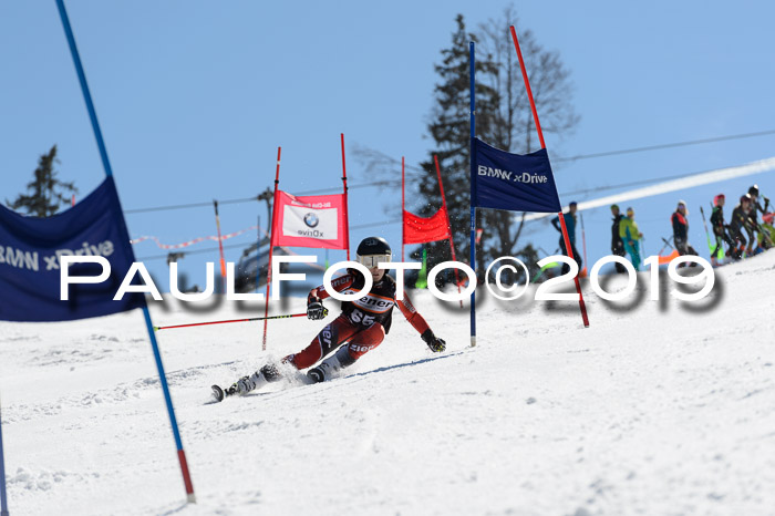 Ziener Cup WF,Finale, Quali + PSL, 30.03.2019