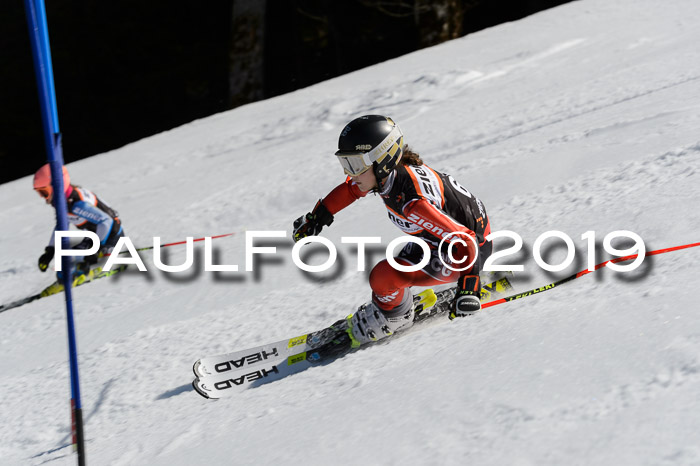 Ziener Cup WF,Finale, Quali + PSL, 30.03.2019