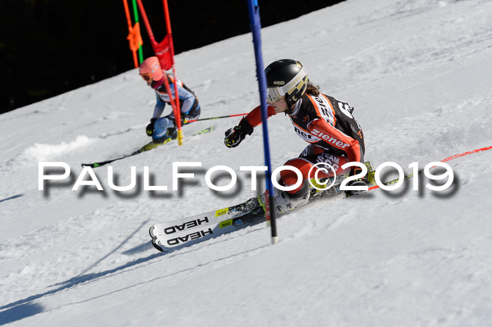Ziener Cup WF,Finale, Quali + PSL, 30.03.2019
