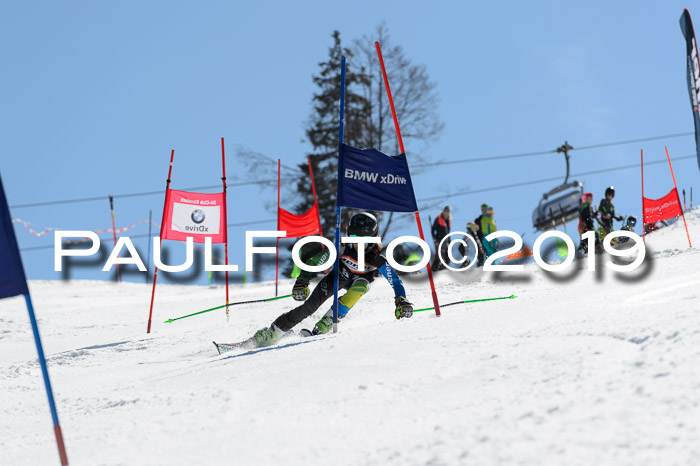 Ziener Cup WF,Finale, Quali + PSL, 30.03.2019
