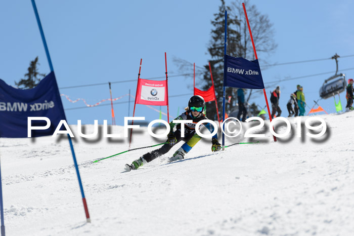 Ziener Cup WF,Finale, Quali + PSL, 30.03.2019