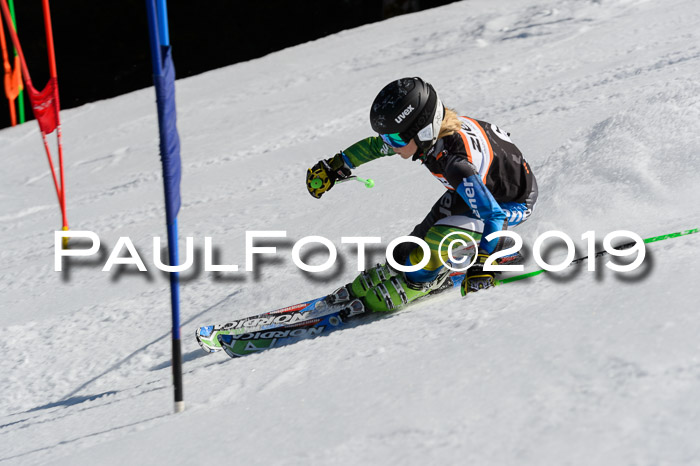 Ziener Cup WF,Finale, Quali + PSL, 30.03.2019