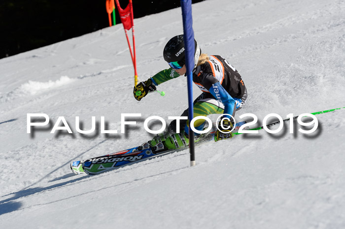 Ziener Cup WF,Finale, Quali + PSL, 30.03.2019