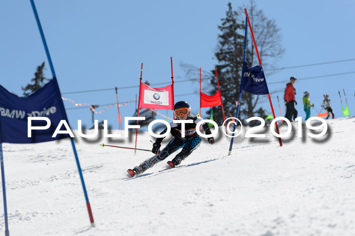 Ziener Cup WF,Finale, Quali + PSL, 30.03.2019