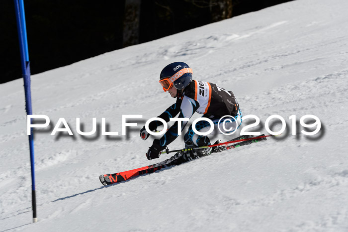 Ziener Cup WF,Finale, Quali + PSL, 30.03.2019
